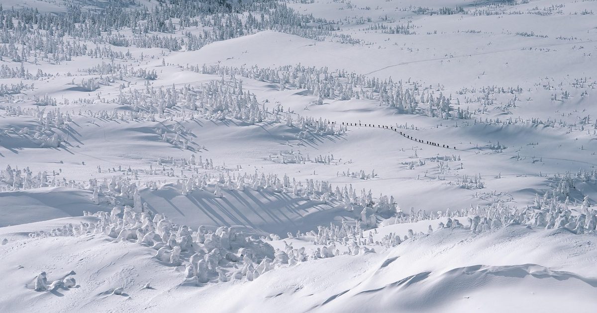 Snow-covered trees in the Hakkōda mountains, Aomori, Japan